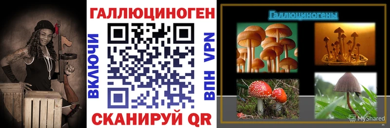 Галлюциногенные грибы Psilocybe  где продают   Суворов 