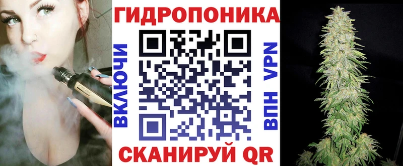 omg онион  Суворов  Канабис MAZAR 